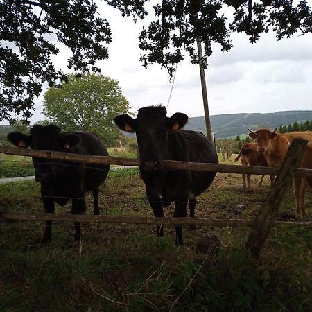 Vakantieverblijf Nature Stavelot Dış mekan fotoğraf