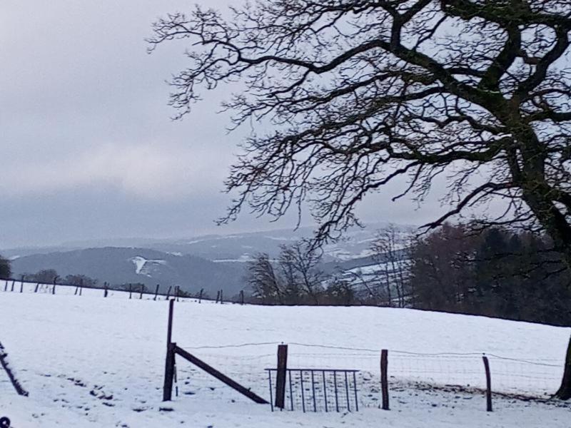 Vakantieverblijf Nature Stavelot Dış mekan fotoğraf