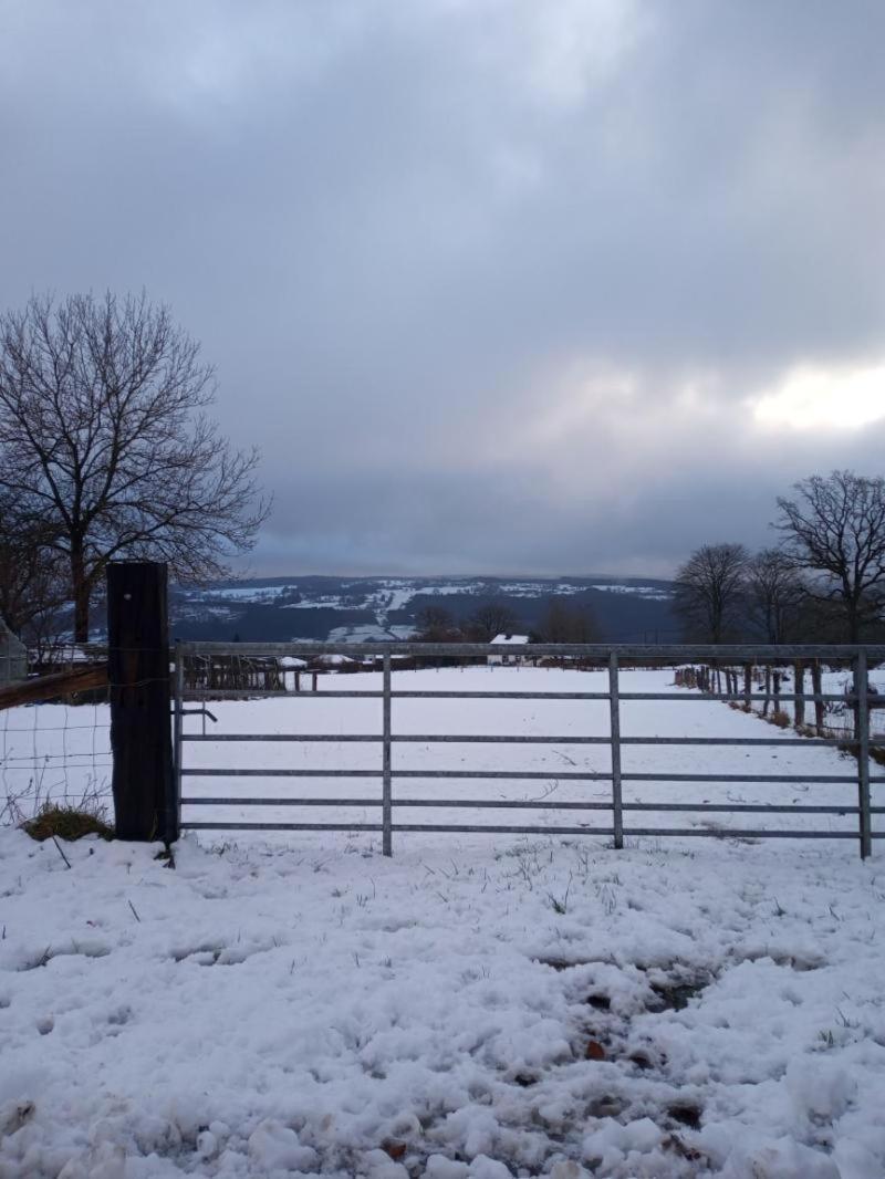 Vakantieverblijf Nature Stavelot Dış mekan fotoğraf
