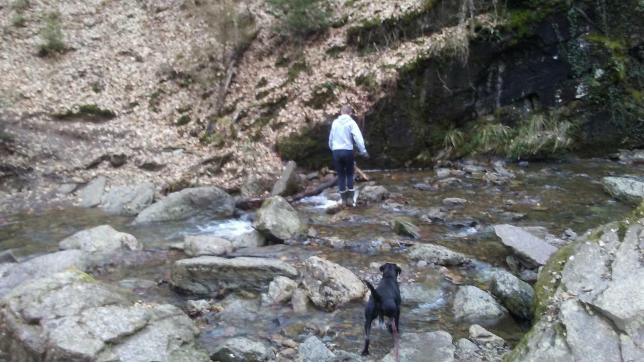 Vakantieverblijf Nature Stavelot Dış mekan fotoğraf