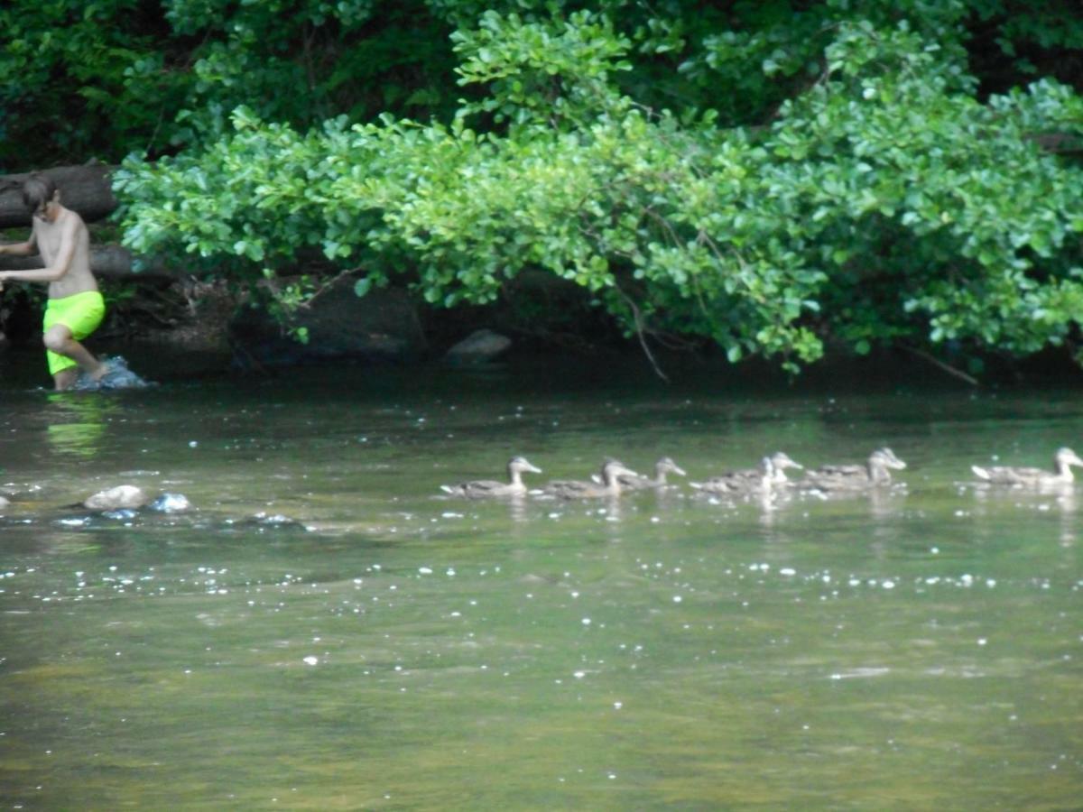 Vakantieverblijf Nature Stavelot Dış mekan fotoğraf