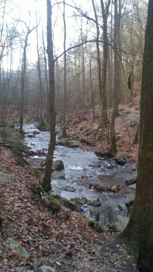 Vakantieverblijf Nature Stavelot Dış mekan fotoğraf