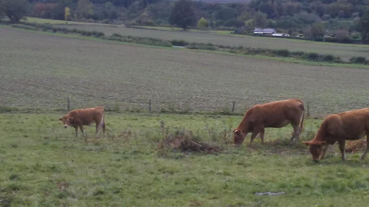 Vakantieverblijf Nature Stavelot Dış mekan fotoğraf