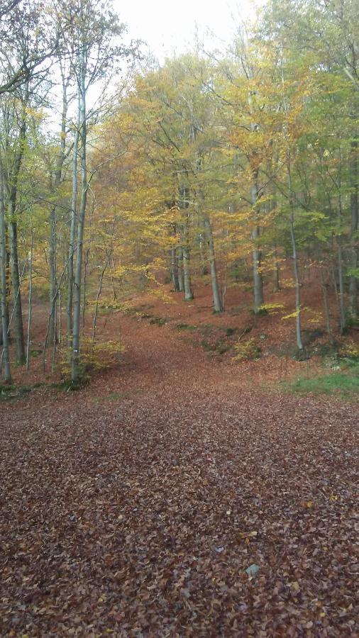 Vakantieverblijf Nature Stavelot Dış mekan fotoğraf